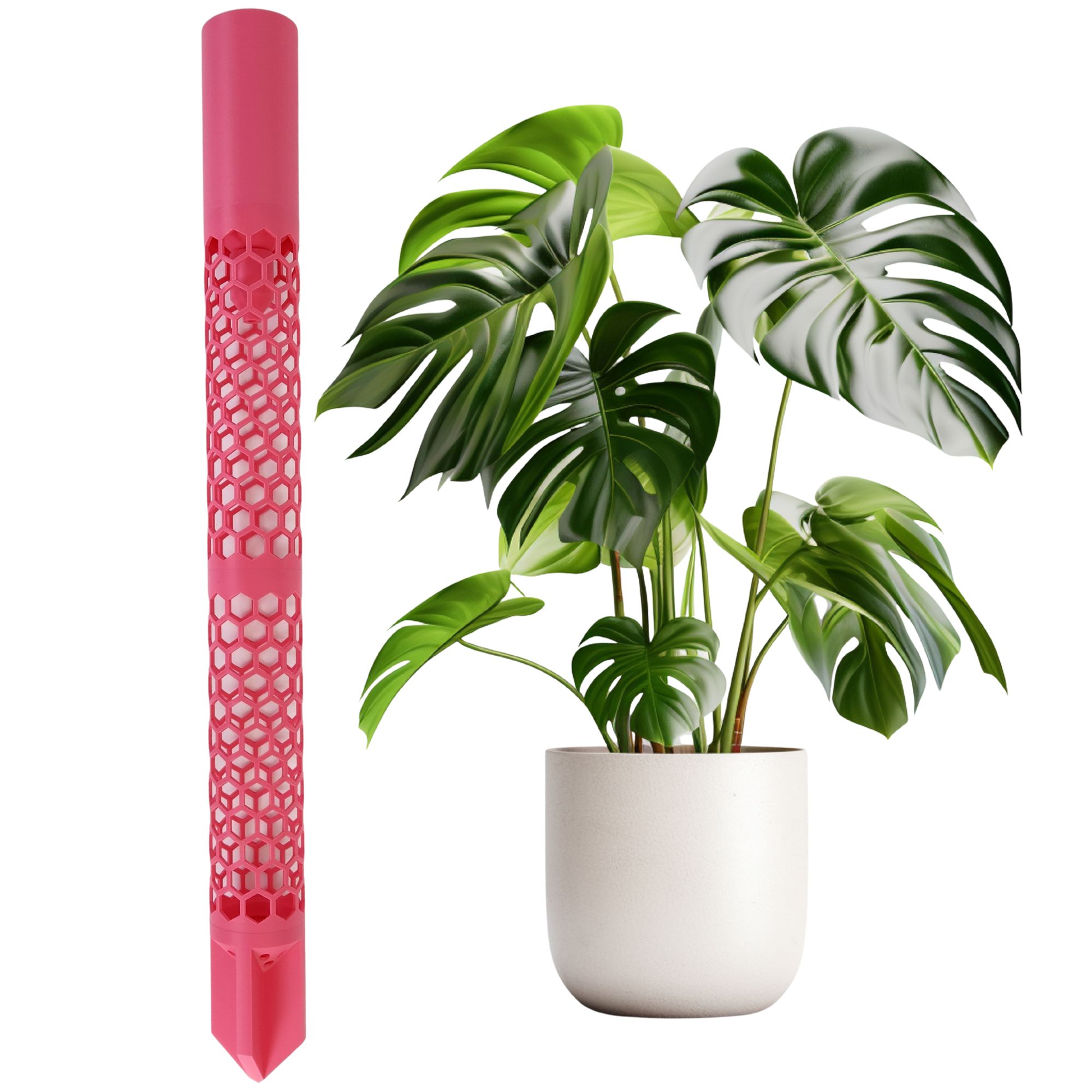 Plastic Moss Pole for Monstera, Pothos, Philodendron - Modular Extendable Plant Support for Climbing Plants, Self Watering Cut with Flow Control Mechanism - Indoor Climbing Plant Pole